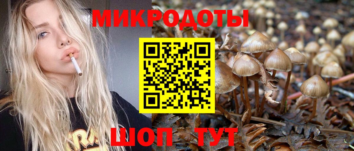 Псилоцибиновые грибы Psilocybine cubensis  Псилоцибиновые грибы прущие грибы  Вход с VPN  Торжок 