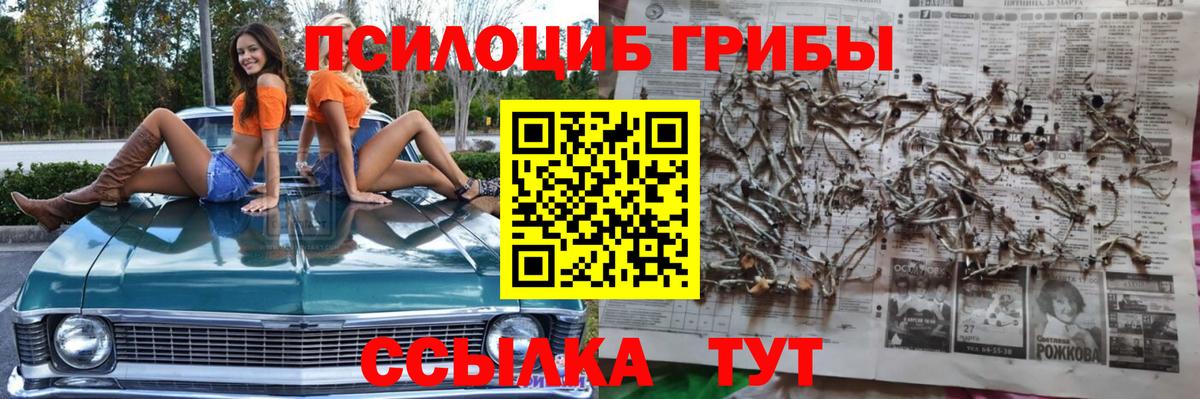 Галлюциногенные грибы Cubensis Торжок